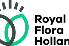 ROYAL FLORA HOLLAND